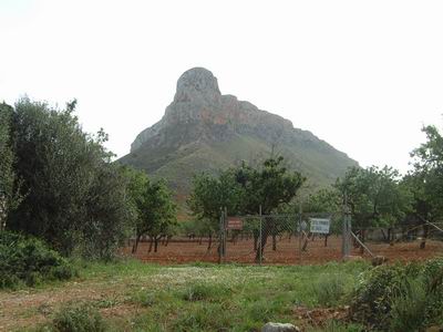 DSCF0073.JPG